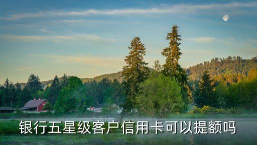 银行五星级客户信用卡可以提额吗