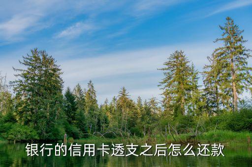 银行的信用卡透支之后怎么还款