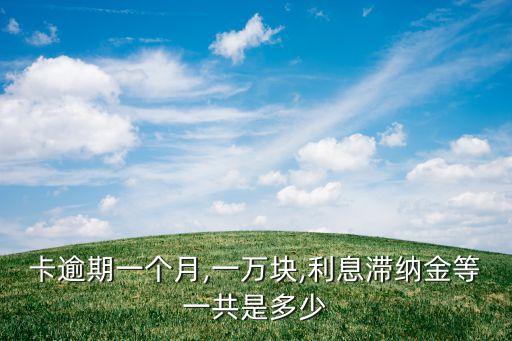 卡逾期一个月,一万块,利息滞纳金等一共是多少