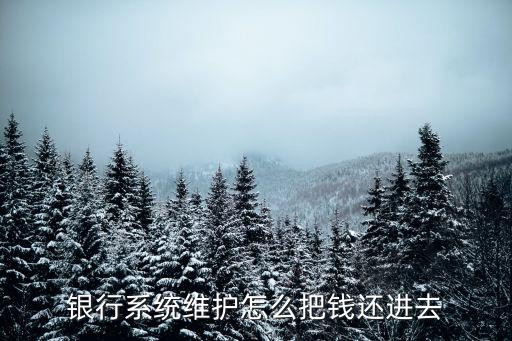 银行系统维护怎么把钱还进去