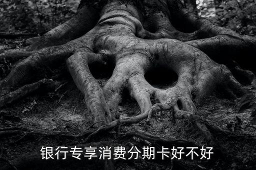银行专享消费分期卡好不好