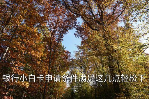 银行小白卡申请条件满足这几点轻松下卡