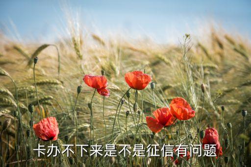 卡办不下来是不是征信有问题