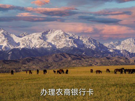 办理农商银行卡