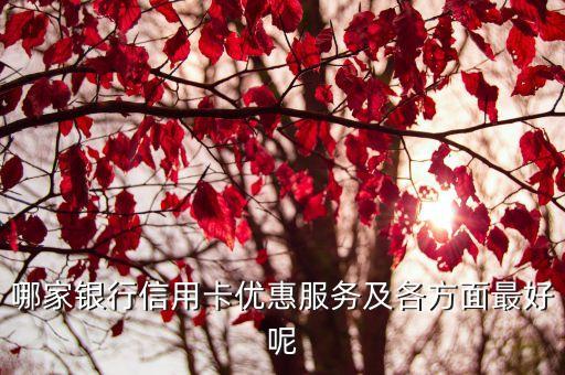 哪家银行信用卡优惠服务及各方面最好呢