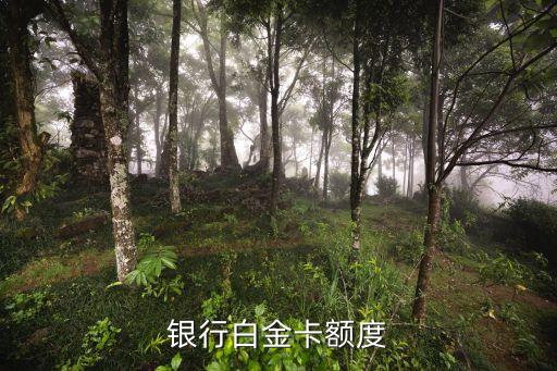 银行白金卡额度