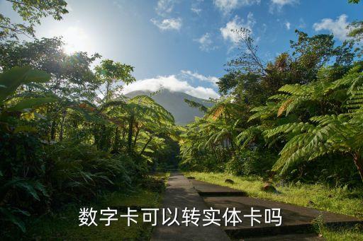 数字卡可以转实体卡吗