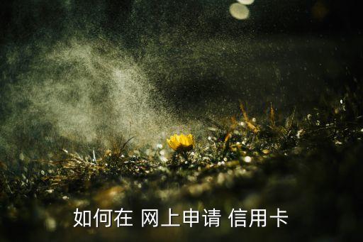 如何在 网上申请 信用卡