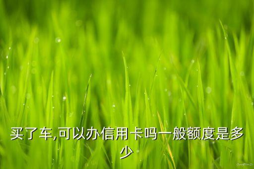 买了车,可以办信用卡吗一般额度是多少
