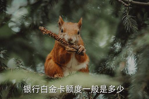 银行白金卡额度一般是多少
