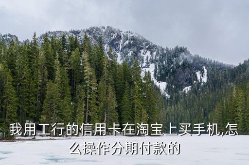 我用工行的信用卡在淘宝上买手机,怎么操作分期付款的
