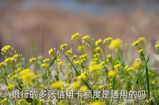 银行的多张信用卡额度是通用的吗