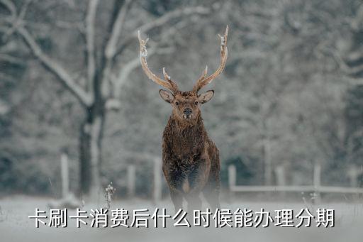 卡刷卡消费后什么时候能办理分期