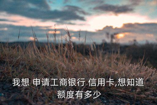我想 申请工商银行 信用卡,想知道 额度有多少