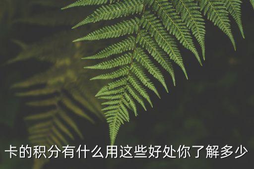 推行信用积分制度的影响,积分对信用卡的影响