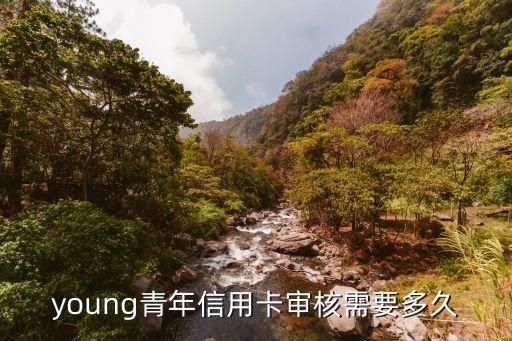young青年信用卡审核需要多久