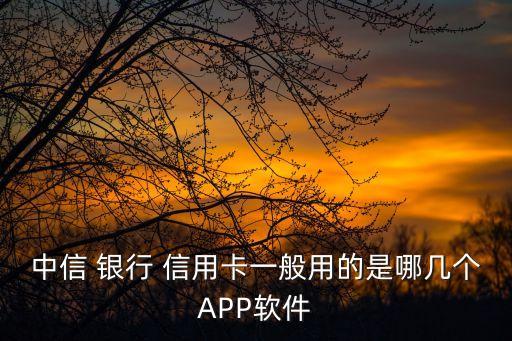 中信 银行 信用卡一般用的是哪几个APP软件