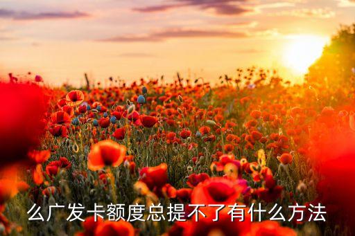 么广发卡额度总提不了有什么方法