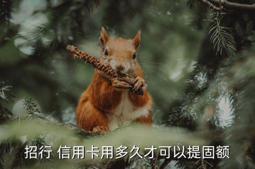 招行 信用卡用多久才可以提固额