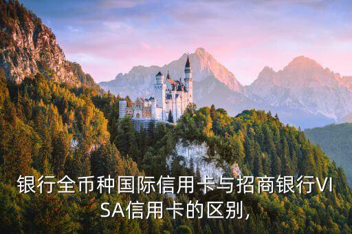 银行全币种国际信用卡与招商银行VISA信用卡的区别,