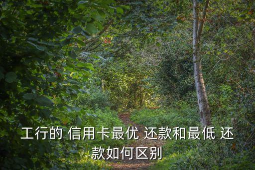 工行的 信用卡最优 还款和最低 还款如何区别