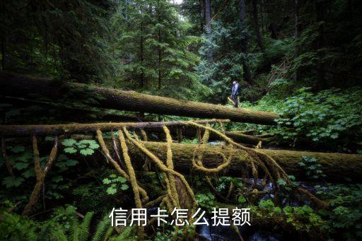 信用卡怎么提额
