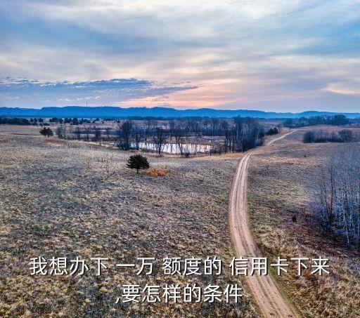 我想办下 一万 额度的 信用卡下来,要怎样的条件