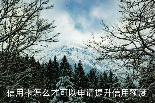 农业银行信用卡增额度,农行信用卡取款技巧