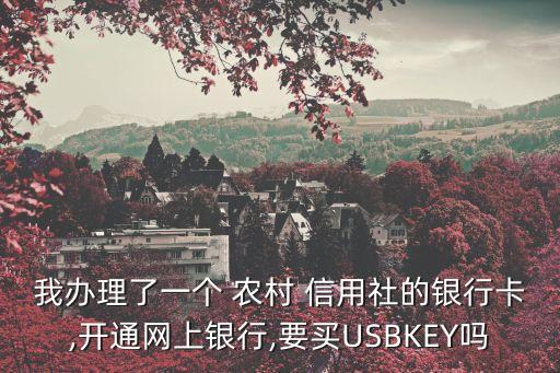 我办理了一个 农村 信用社的银行卡,开通网上银行,要买USBKEY吗
