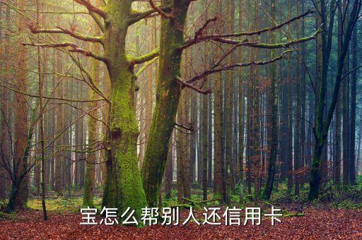 信用卡还款如何用支付宝,如何用信用卡还支付宝花