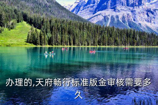 办理的,天府畅行标准版金审核需要多久