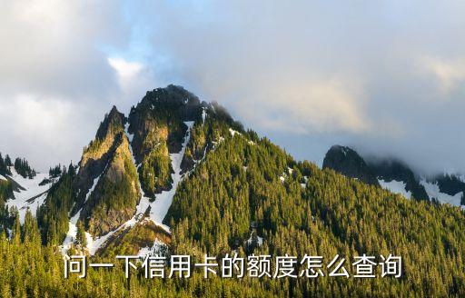 问一下信用卡的额度怎么查询
