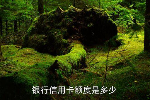 携程东亚信用卡最低额度,东亚携程联名信用卡