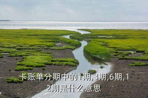 信用卡账单分期分几期好,银行信用卡账单分期
