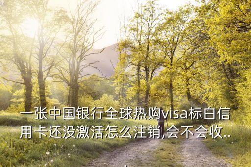一张中国银行全球热购visa标白信用卡还没激活怎么注销,会不会收...