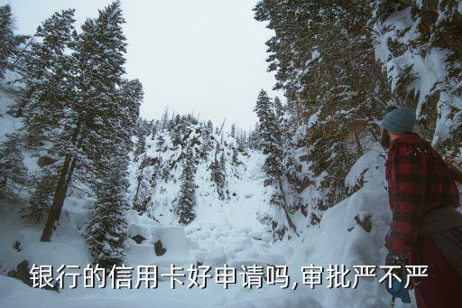 银行的信用卡好申请吗,审批严不严