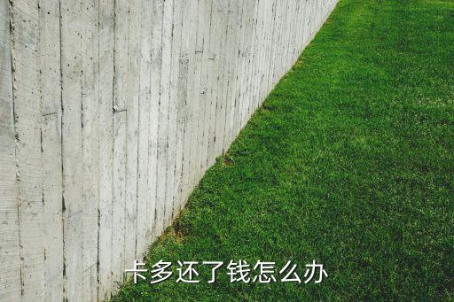 信用卡还款多还怎么办,信用卡还款太多怎么办