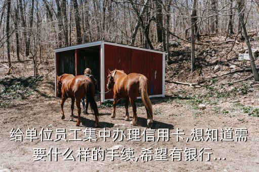 给单位员工集中办理信用卡,想知道需要什么样的手续,希望有银行...