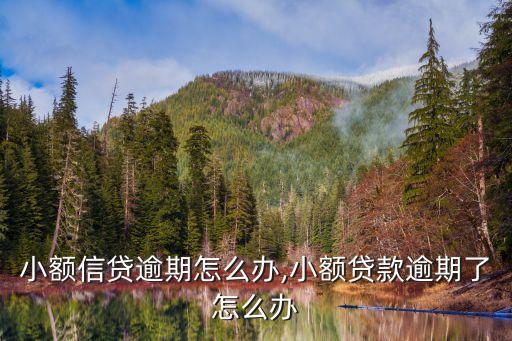 东莞贷款逾期怎么办信用卡,信用卡逾期想贷款怎么办