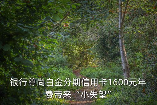 银行尊尚白金分期信用卡1600元年费带来“小失望”