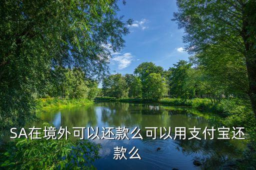 国外信用卡 还款,出国怎么还信用卡