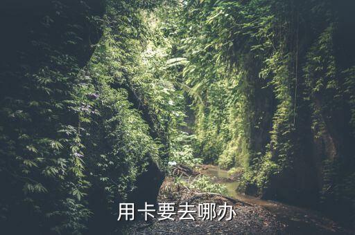 用卡要去哪办
