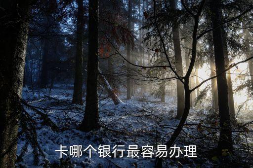 卡哪个银行最容易办理