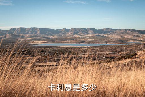 卡利息是多少
