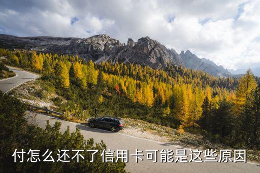 云闪付中信用卡还款怎么还,信用卡怎么还款