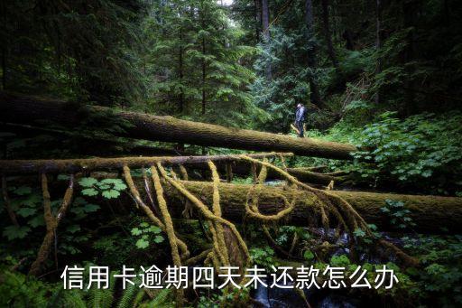 信用卡逾期四天未还款怎么办