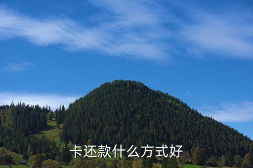 卡还款什么方式好