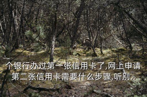 个银行办过第一张信用卡了,网上申请第二张信用卡需要什么步骤,听别...