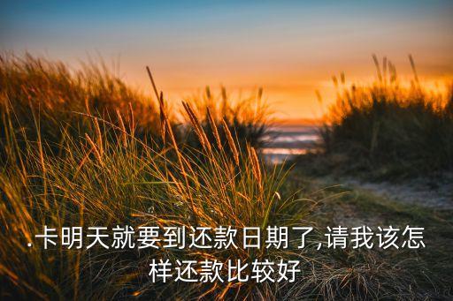 信用卡咋样还款最好,两张信用卡的还款日期怎么错开