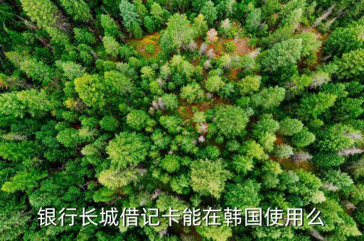 银行长城借记卡能在韩国使用么